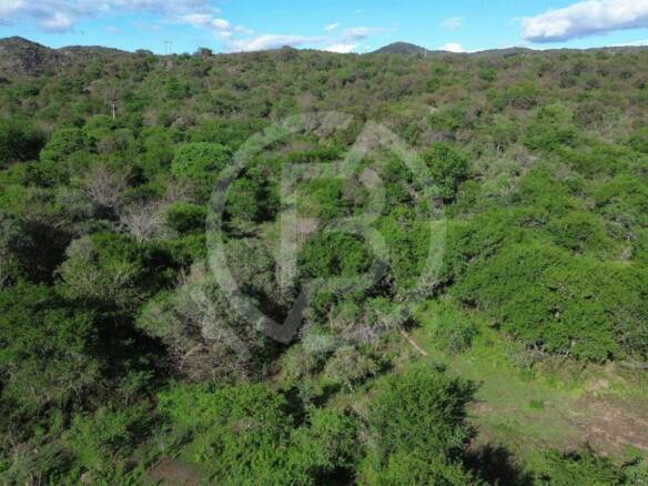 Campo En Venta- 47 Ha Dique La Quintana